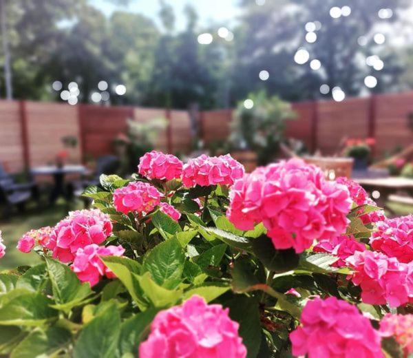 Maison Bellefleur B&B - Pension غينيسَّ المظهر الخارجي الصورة